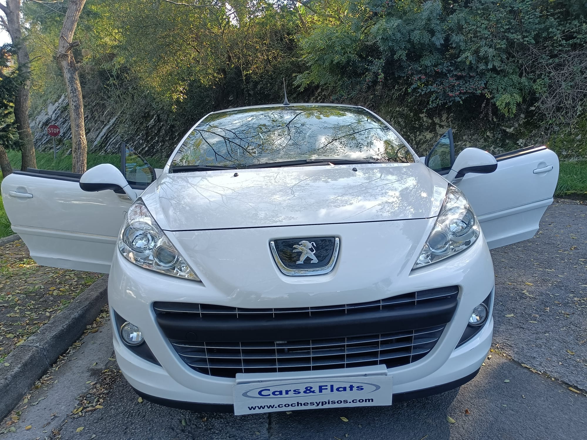 Peugeot 207 CC 1.6i 120cv