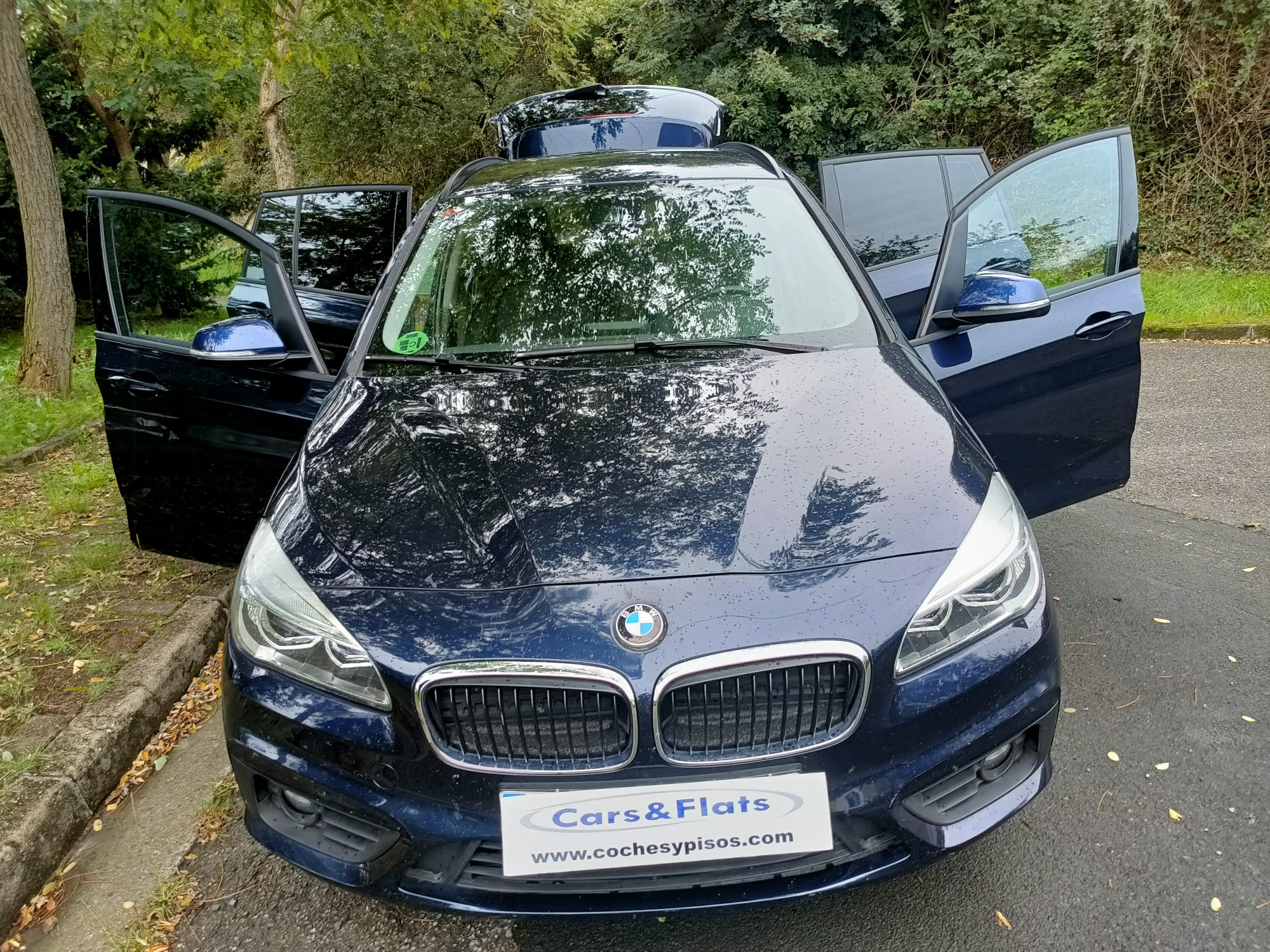 BMW 216D Gran Tourer Business 116cv, 7 plazas 2018