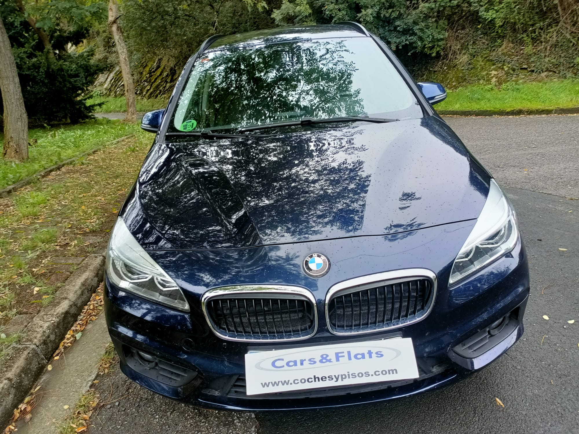 BMW 216D Gran Tourer Business 116cv, 7 plazas 2018