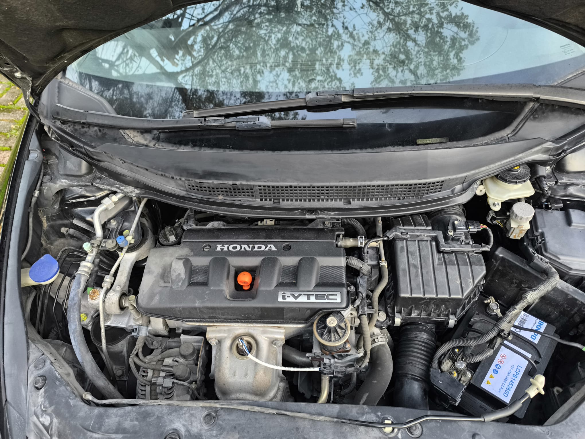 Honda Civic 1.8 i-VTEC 140cv Sport 2006