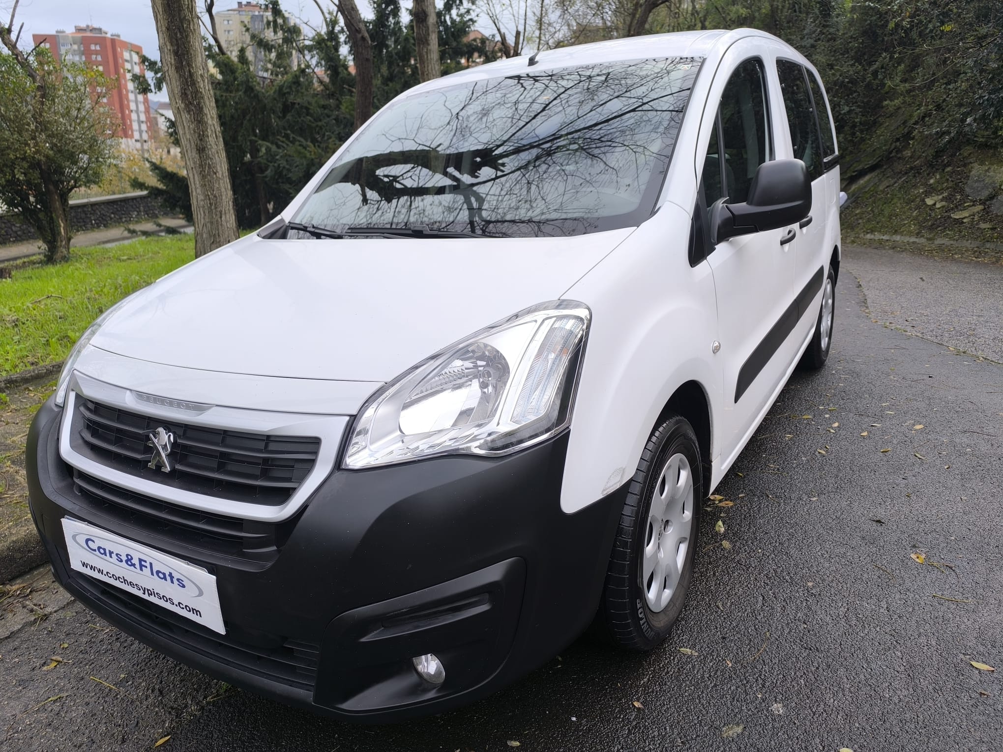 PEUGEOT PARTNER TEPEE 1.6BLUEHDI 75CV