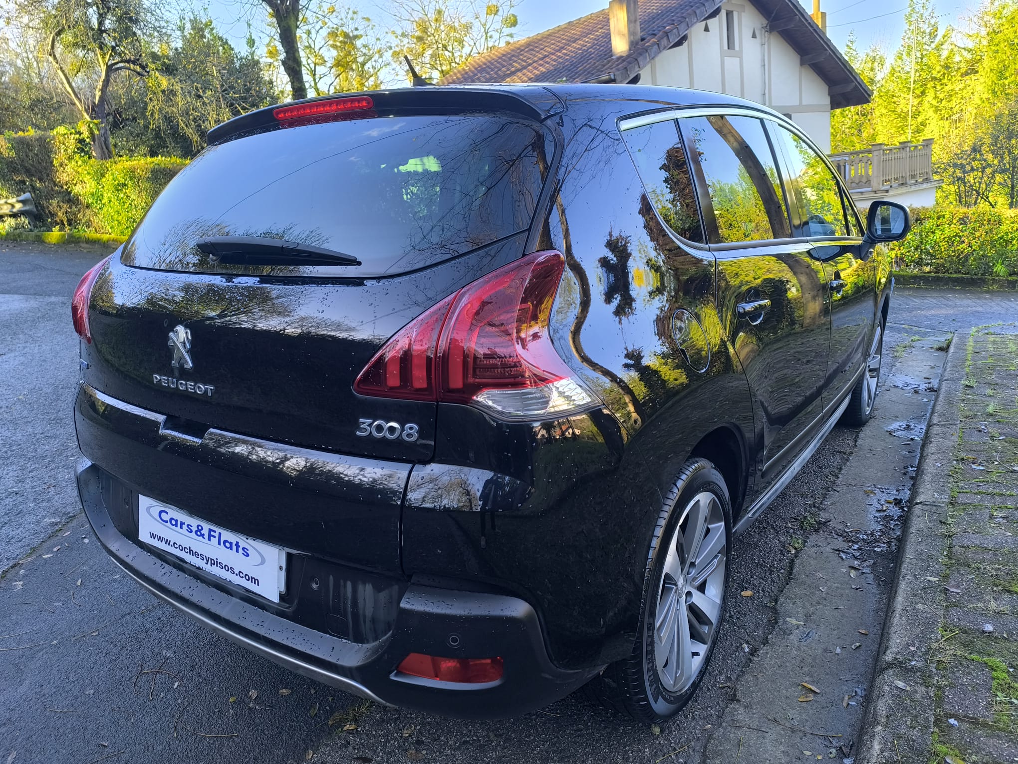 Peugeot 3008 1.6 BlueHDI 120cv Access S/S 2015