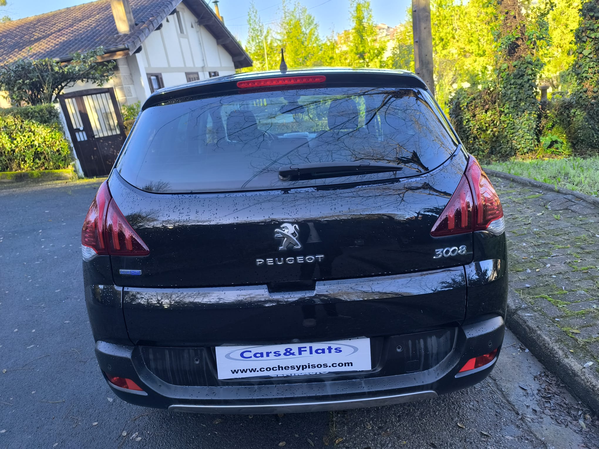 Peugeot 3008 1.6 BlueHDI 120cv Access S/S 2015