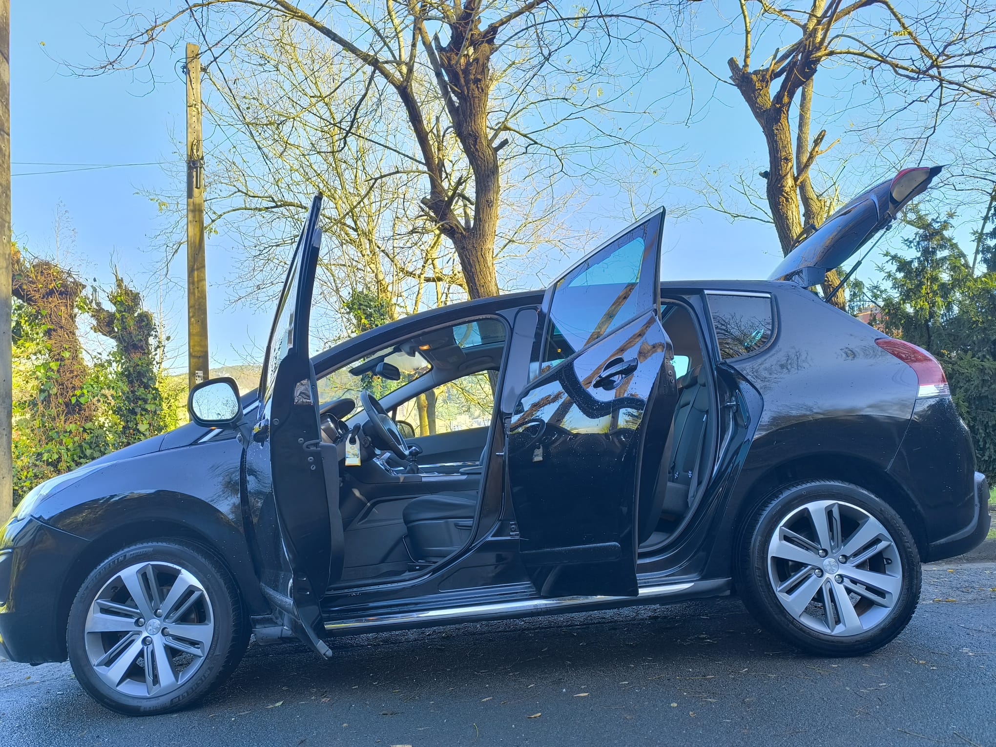 Peugeot 3008 1.6 BlueHDI 120cv Access S/S 2015