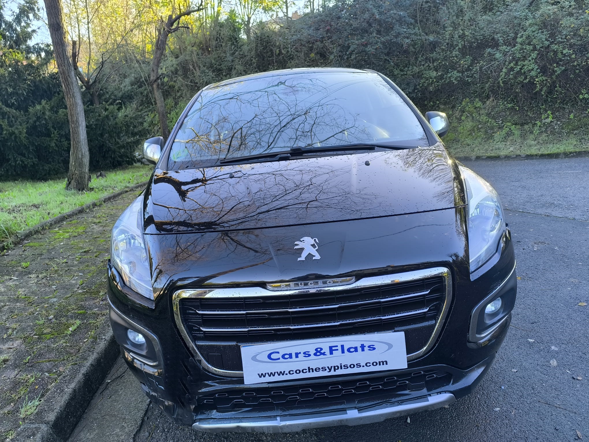 Peugeot 3008 1.6 BlueHDI 120cv Access S/S 2015