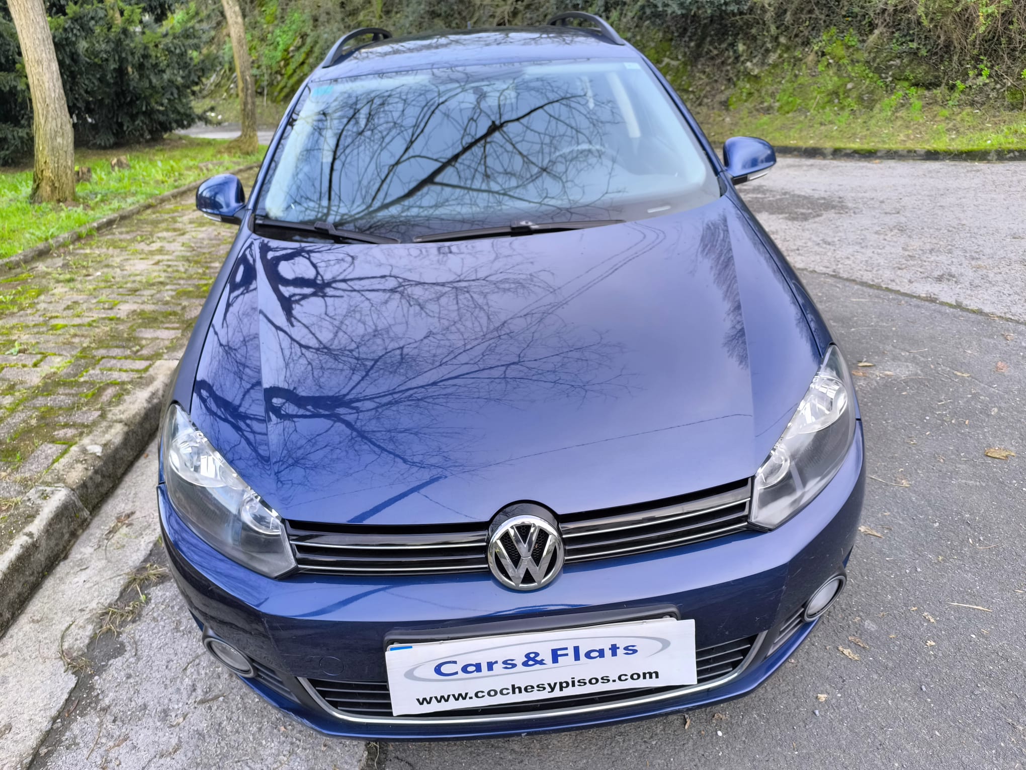 VOLKSWAGEN GOLF VARIANT 1.6TDI 105cv