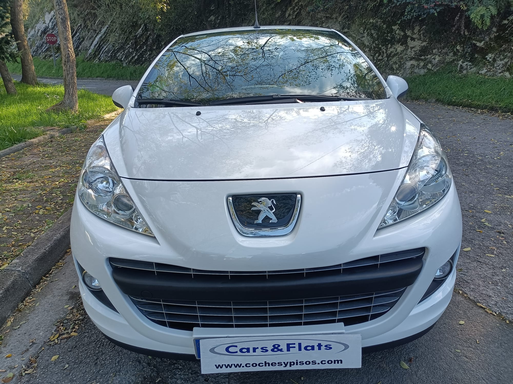 Peugeot 207 CC 1.6i 120cv