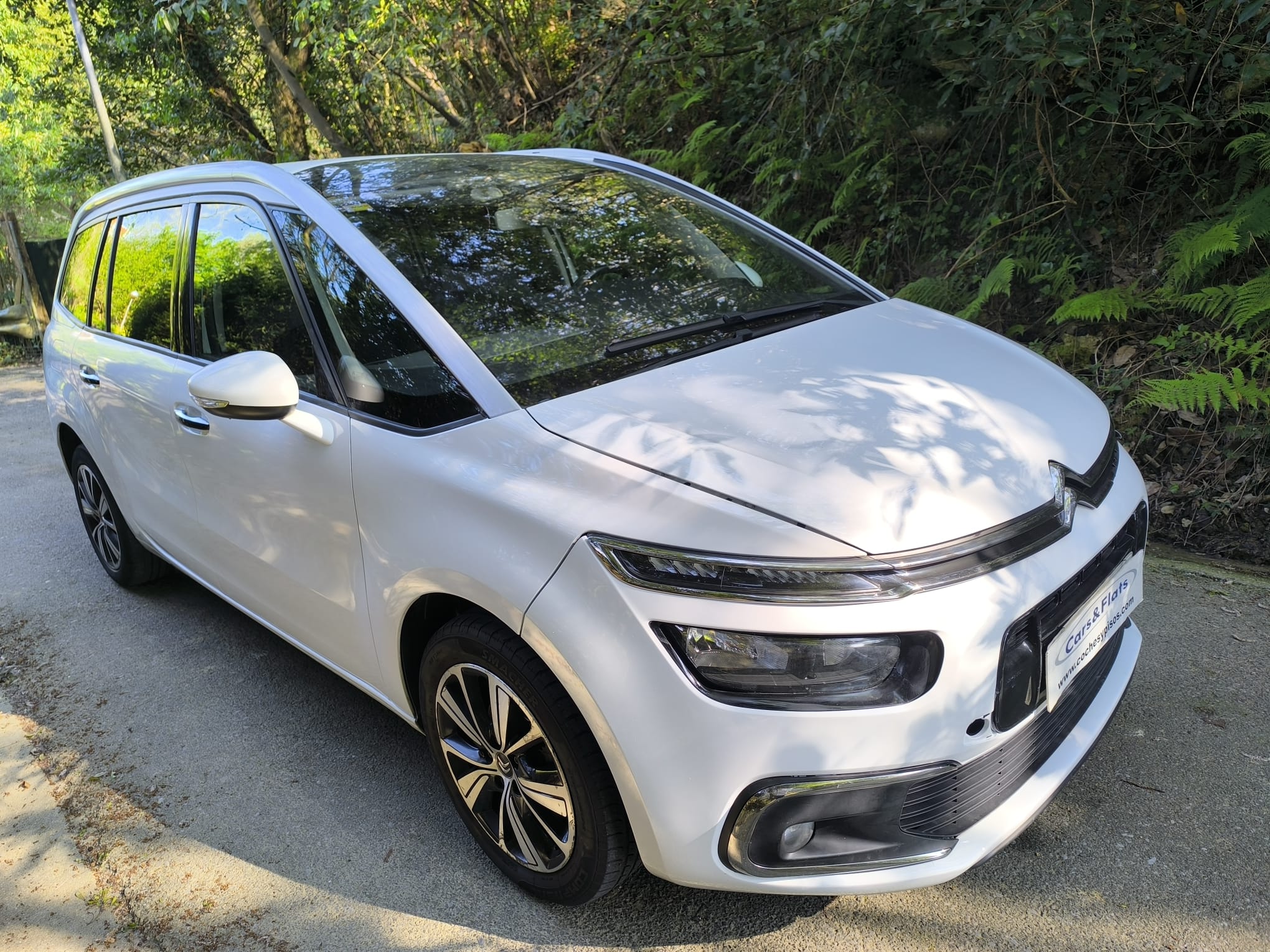 Citroen Grand C4 Picasso 1.6 BlueHDI 120cv 2017