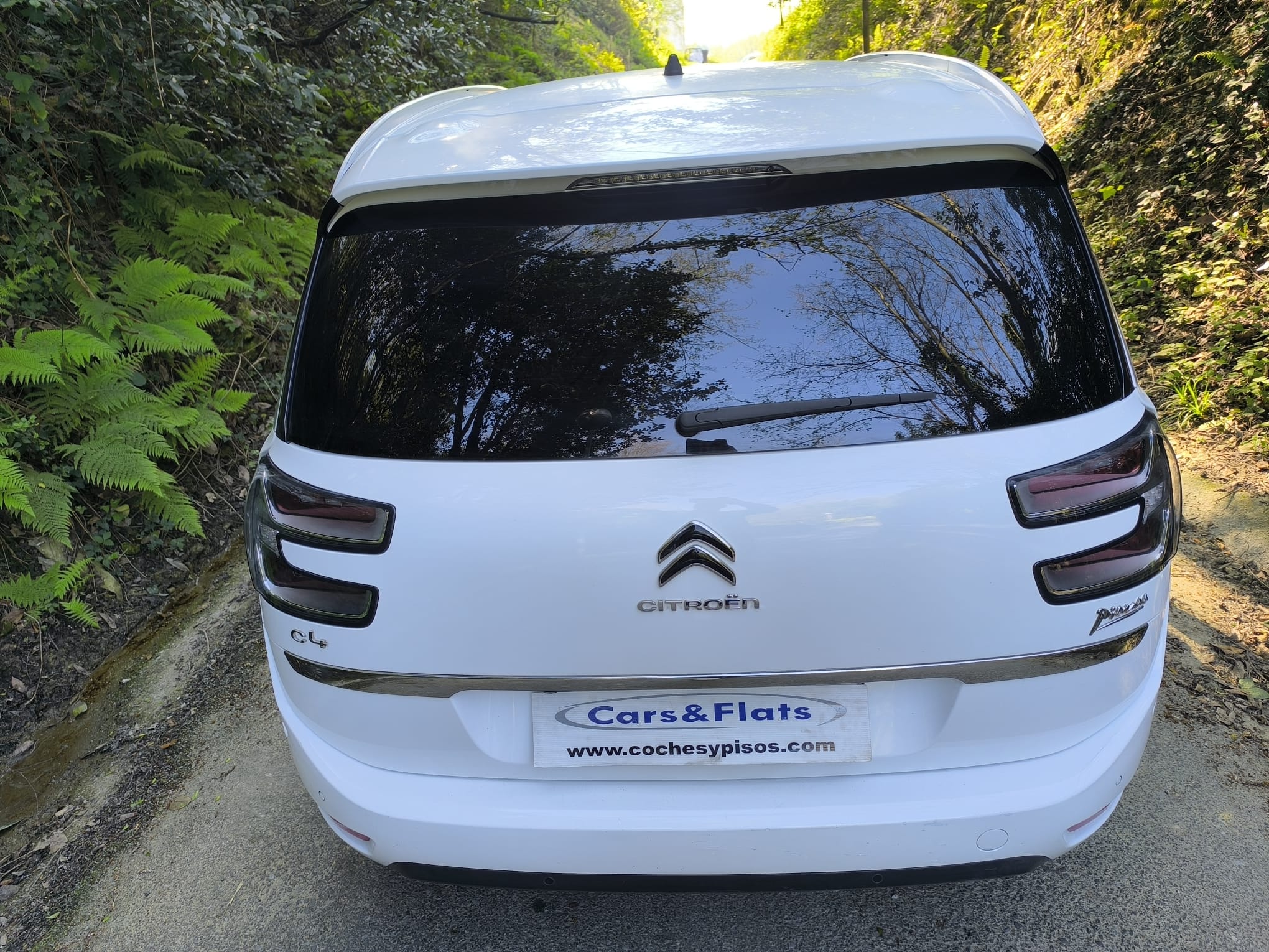 Citroen Grand C4 Picasso 1.6 BlueHDI 120cv 2017