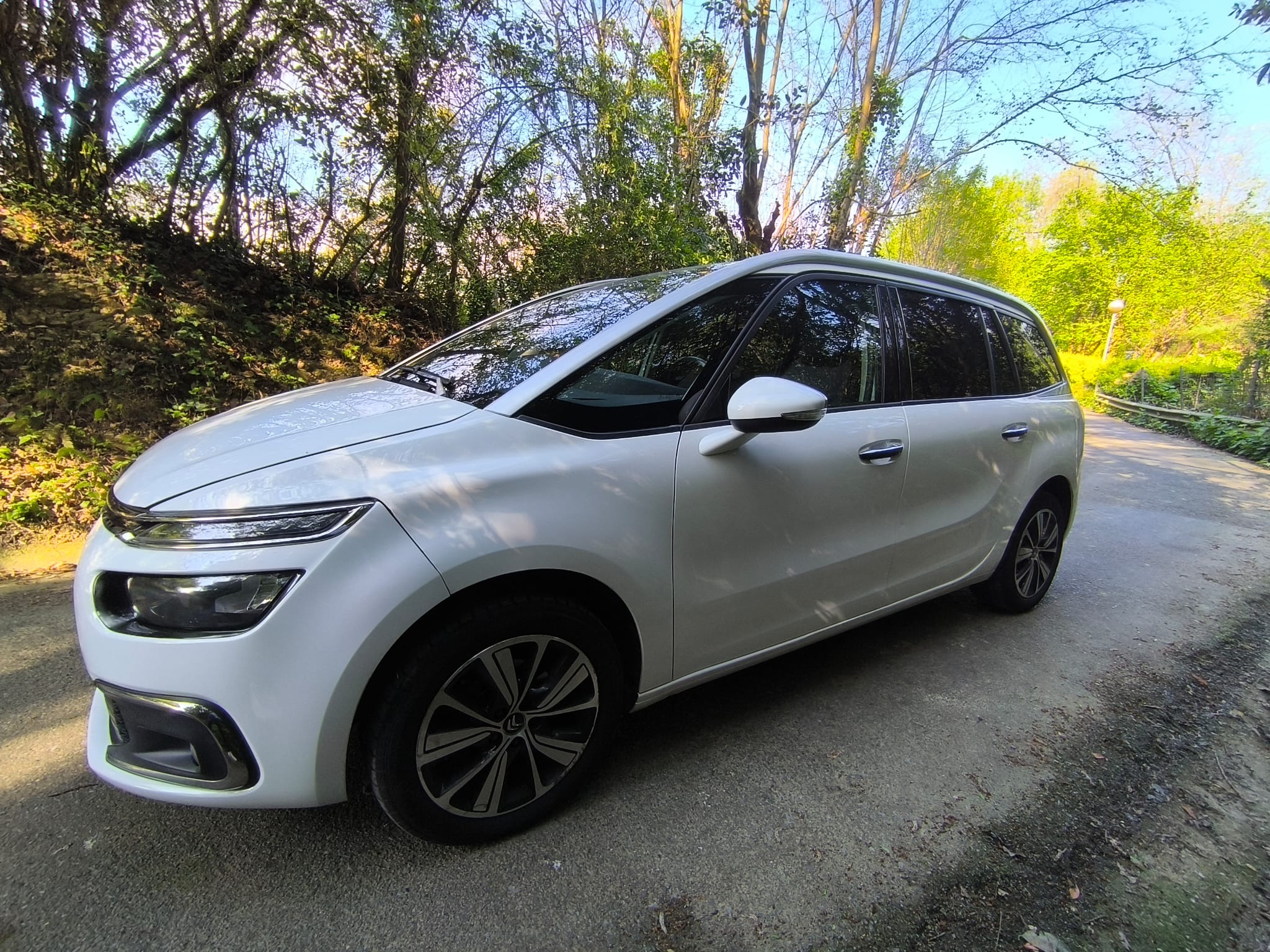 Citroen Grand C4 Picasso 1.6 BlueHDI 120cv 2017
