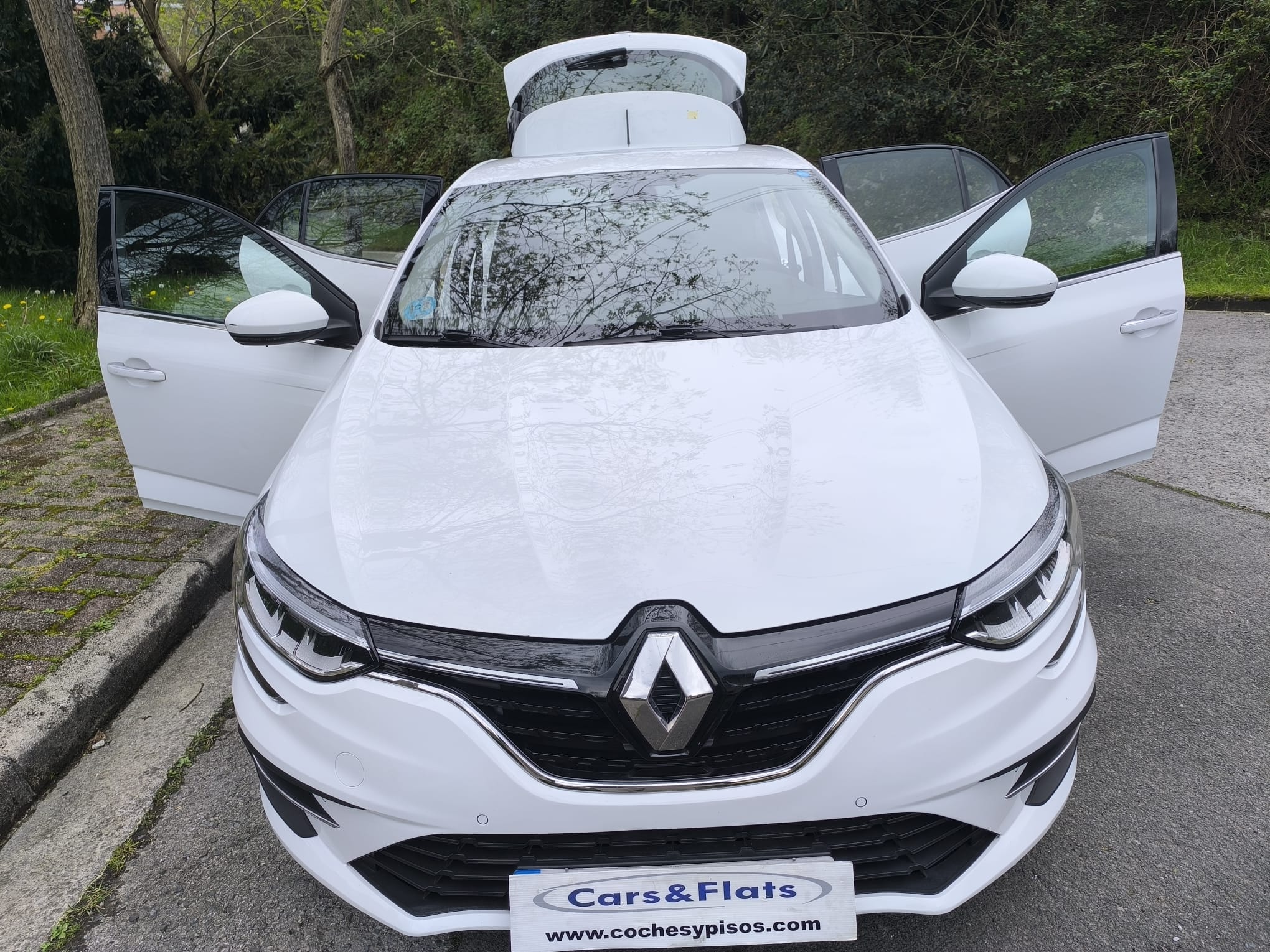 RENAULT MEGANE 1.5DCI BUSINESS 105cv