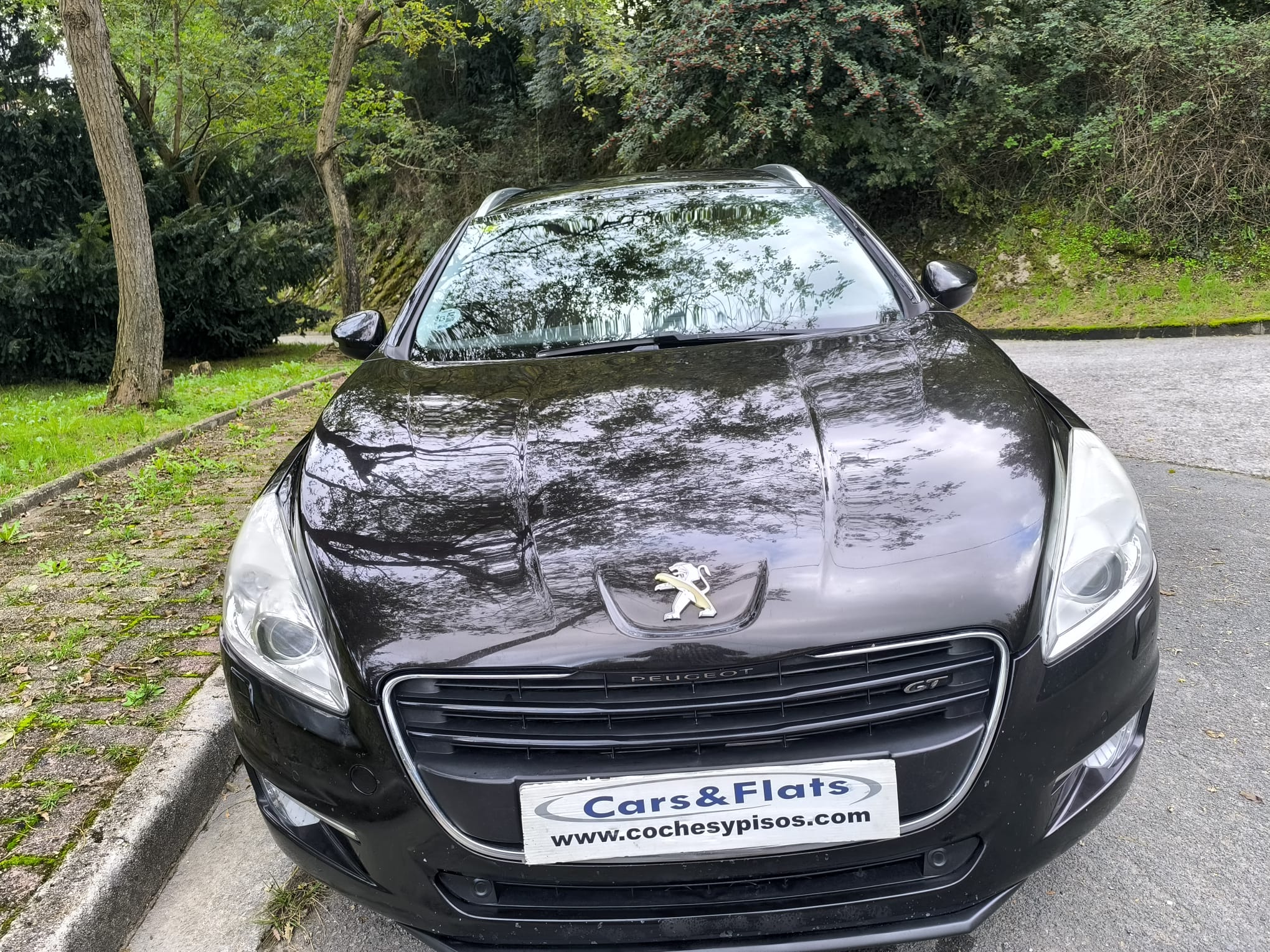 Peugeot 508SW 2.2HDI GT 205cv Autom. 2012