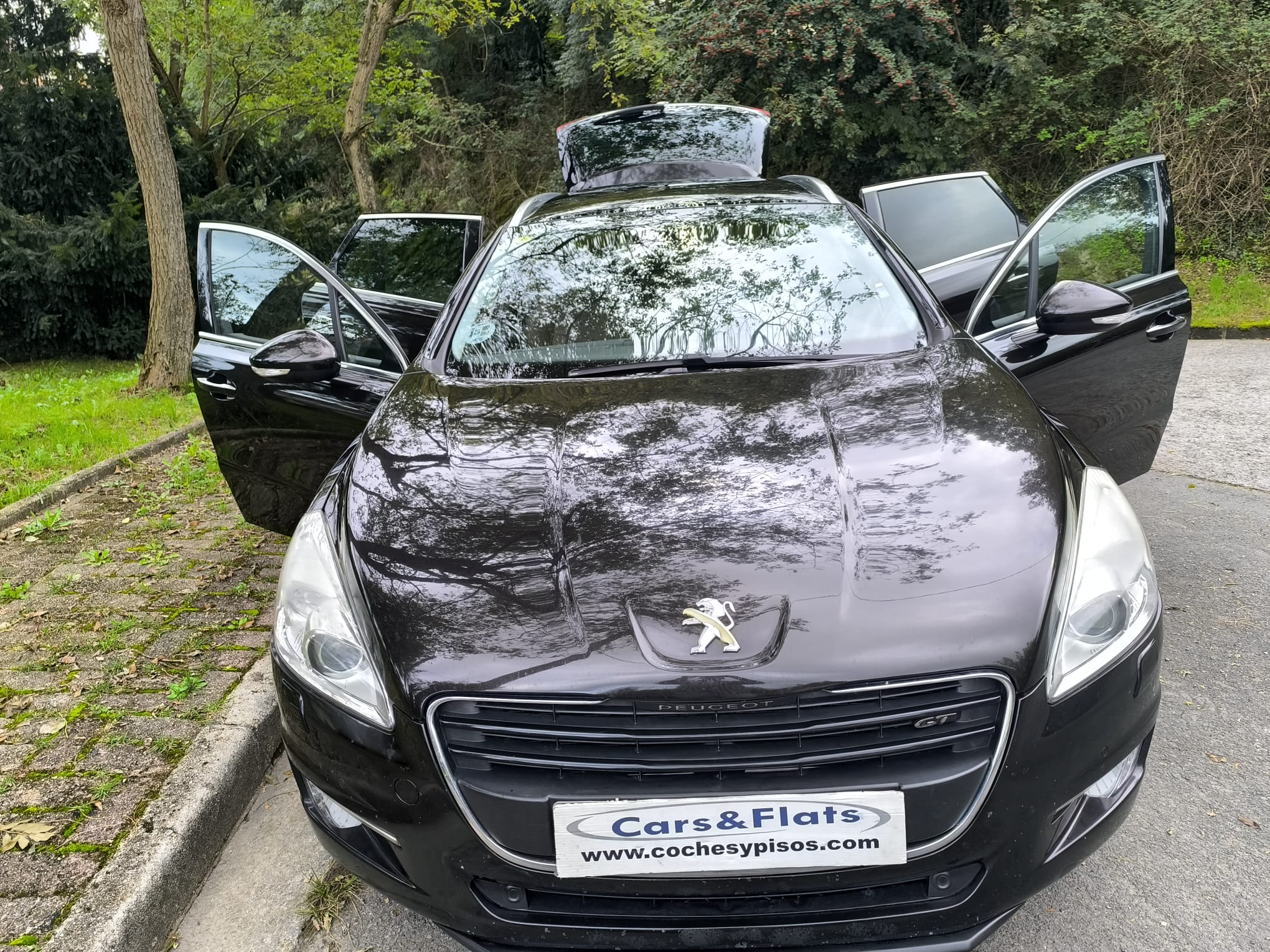 Peugeot 508SW 2.2HDI GT 205cv Autom. 2012
