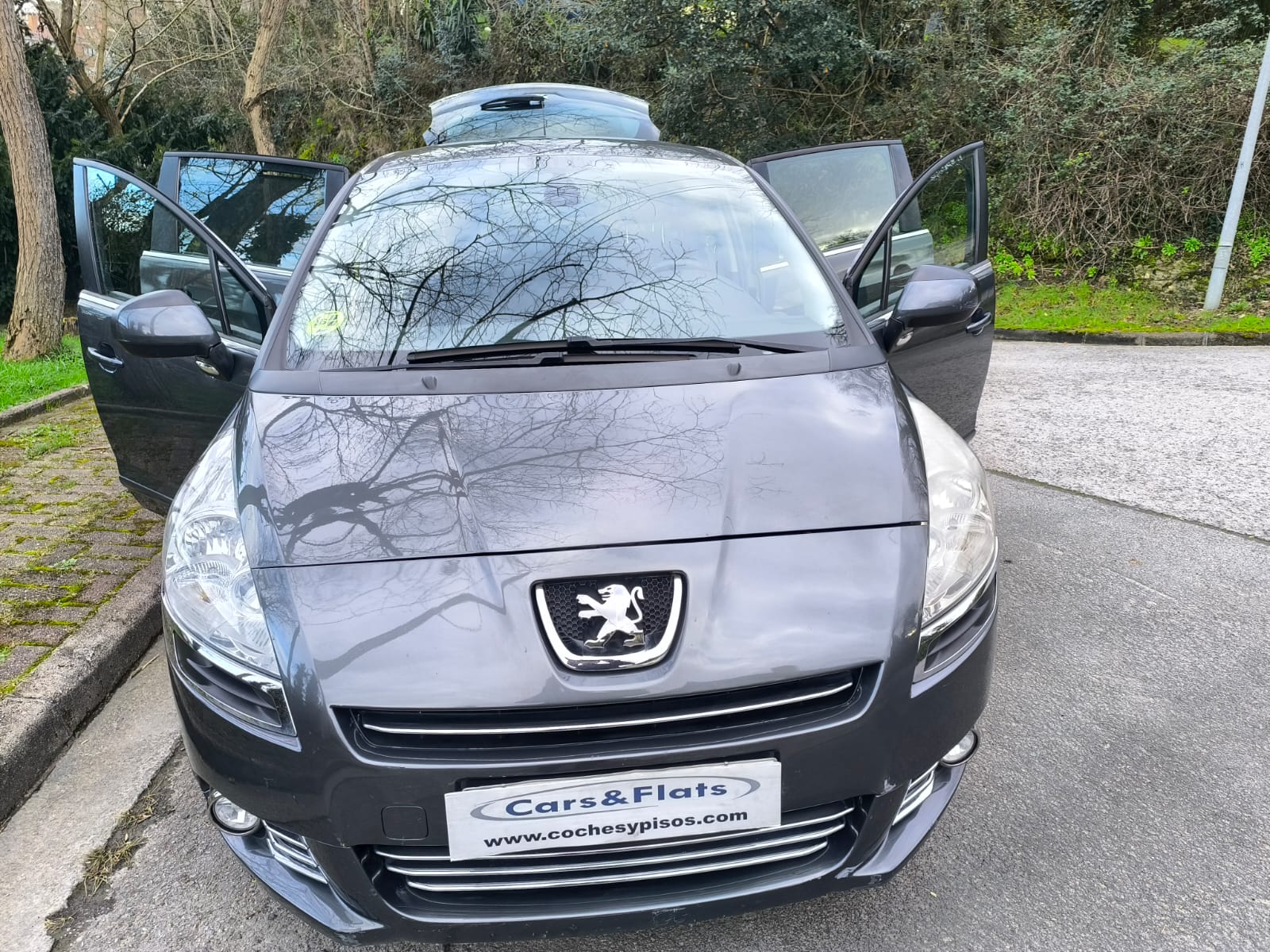 PEUGEOT 5008 1.6eHDI ACTIVE CMP 115cv