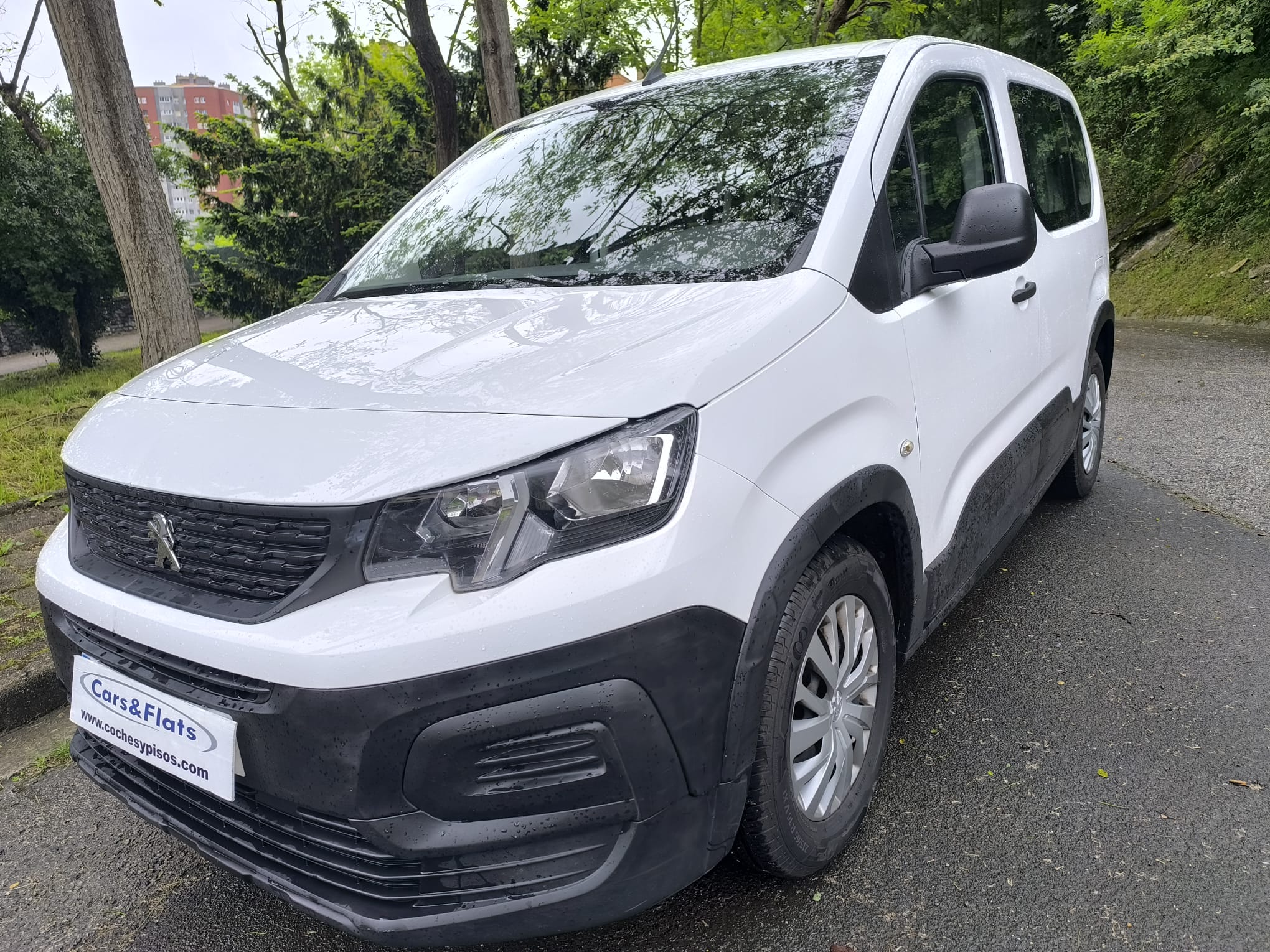 PEUGEOT RIFTER ACCESS 1.5 BLUEHDI 100CV