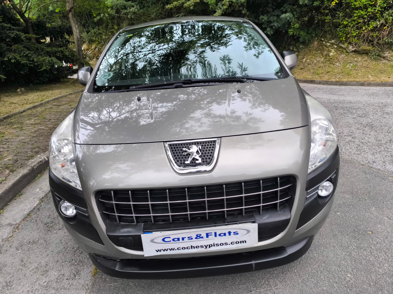 Peugeot 3008 1.6 e-HDI 115cv 2013