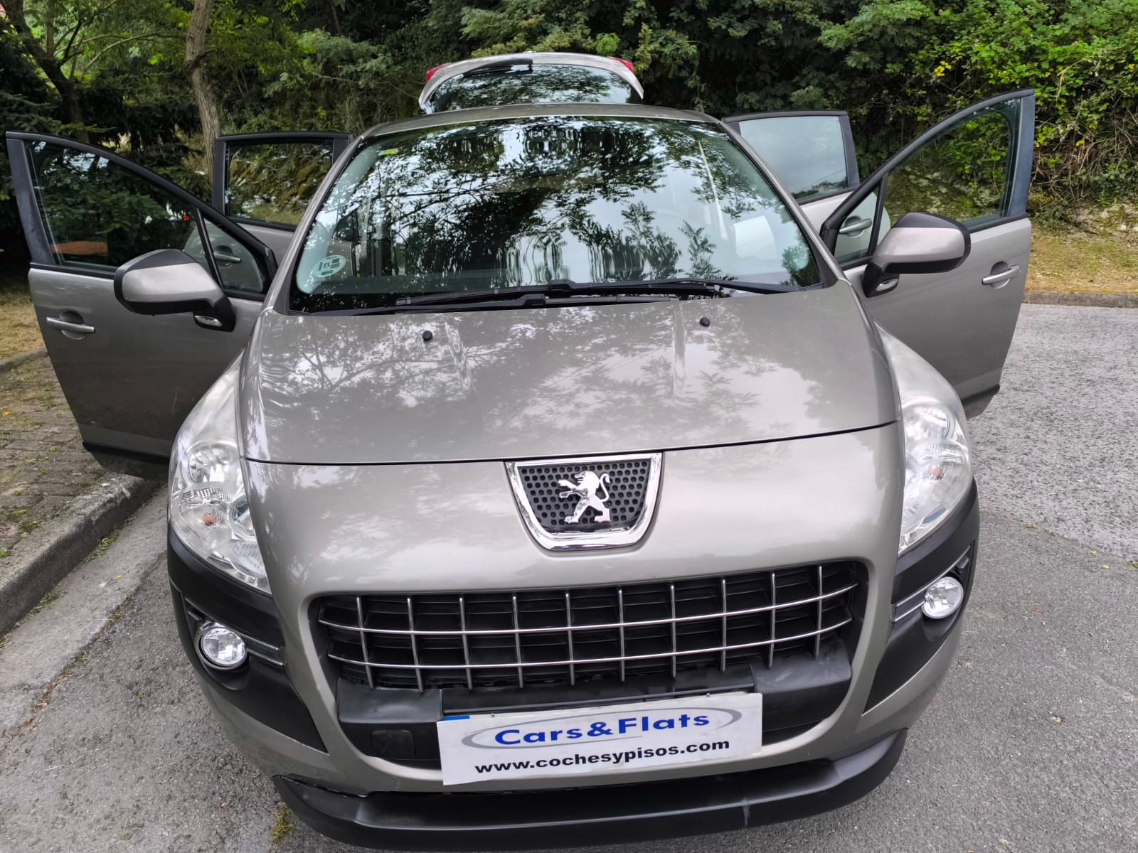 Peugeot 3008 1.6 e-HDI 115cv 2013